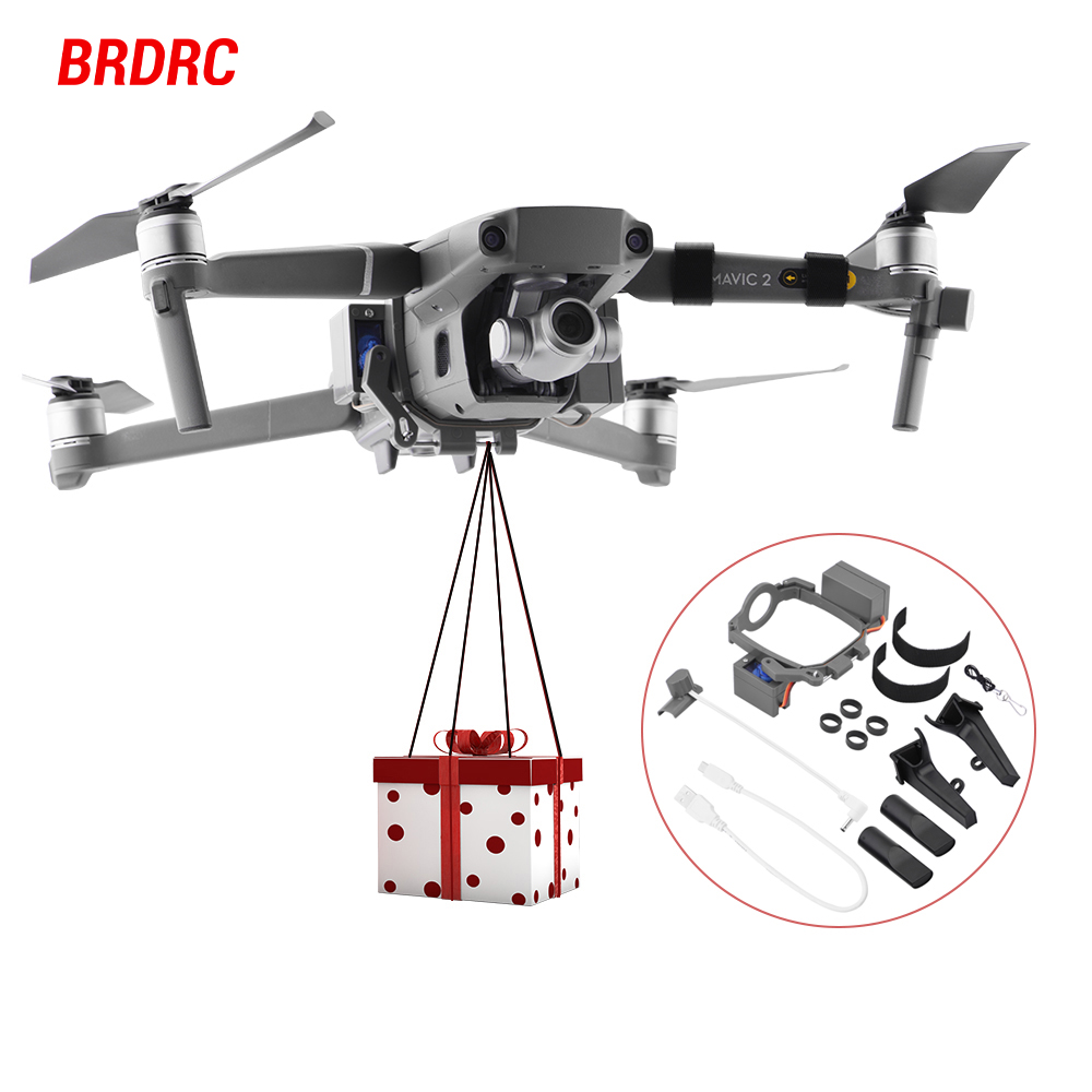Система сброса груза для дроно – обзор и цена Dji Drone Mini 3